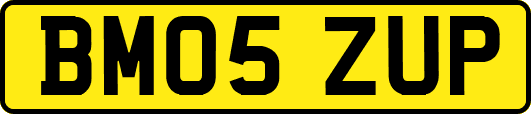 BM05ZUP