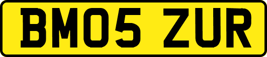 BM05ZUR