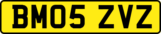 BM05ZVZ