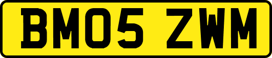 BM05ZWM