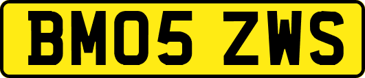 BM05ZWS