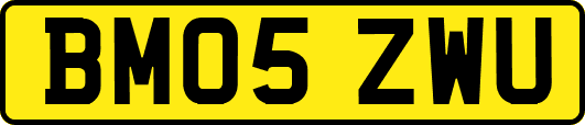 BM05ZWU