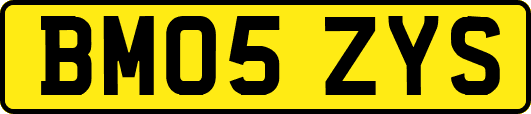 BM05ZYS