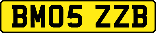BM05ZZB