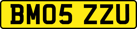 BM05ZZU