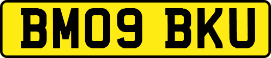 BM09BKU