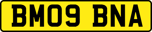 BM09BNA