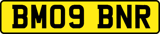 BM09BNR
