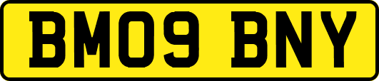 BM09BNY