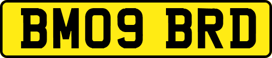 BM09BRD
