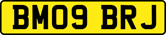 BM09BRJ