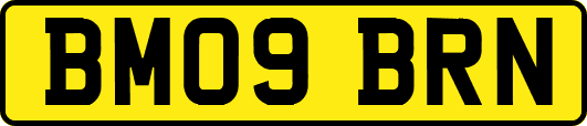 BM09BRN