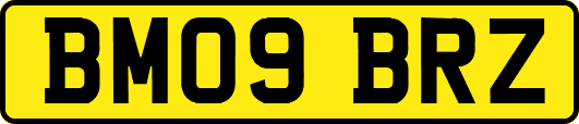 BM09BRZ
