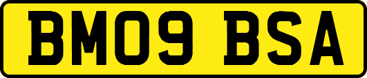 BM09BSA