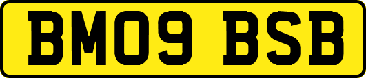 BM09BSB