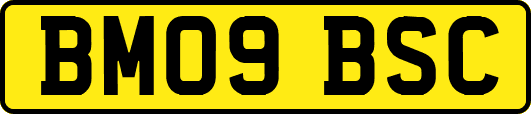 BM09BSC