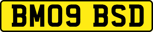 BM09BSD