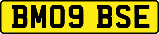 BM09BSE