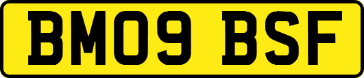 BM09BSF