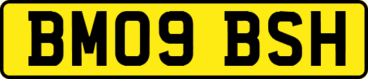 BM09BSH
