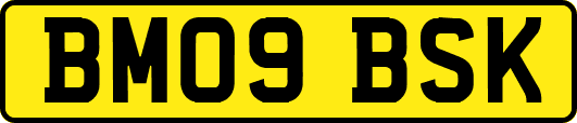 BM09BSK