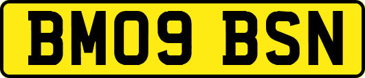 BM09BSN