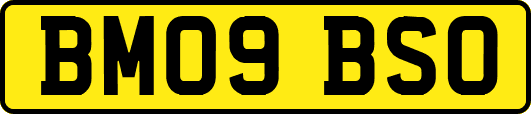 BM09BSO