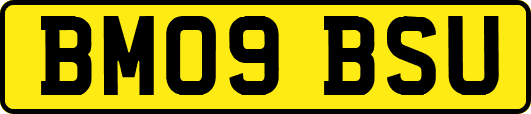 BM09BSU
