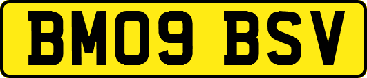 BM09BSV