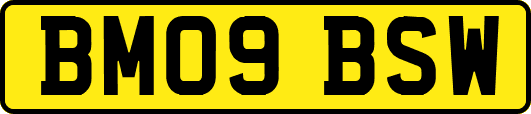 BM09BSW