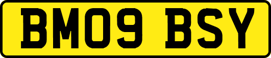 BM09BSY