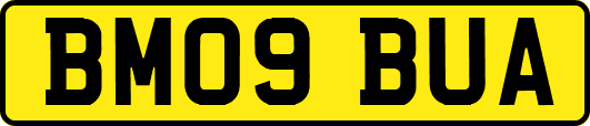 BM09BUA
