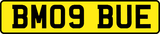 BM09BUE