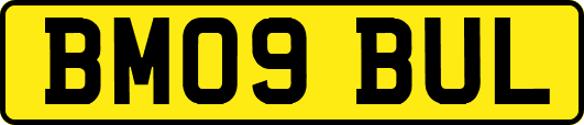 BM09BUL