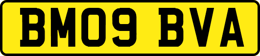 BM09BVA