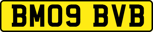 BM09BVB