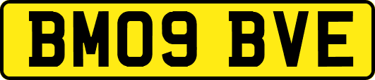 BM09BVE