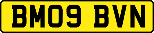 BM09BVN