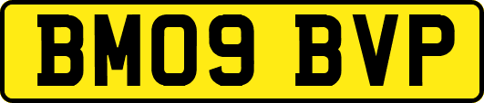 BM09BVP