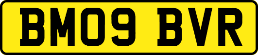 BM09BVR