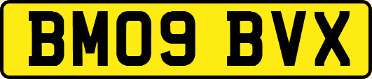BM09BVX