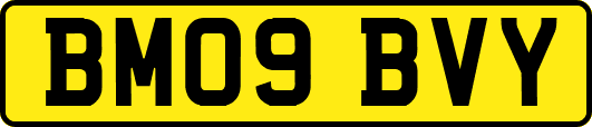 BM09BVY
