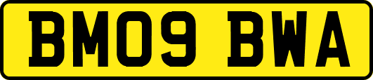 BM09BWA
