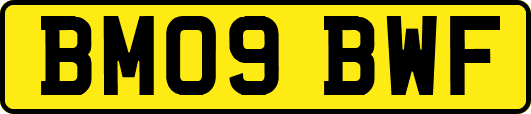 BM09BWF