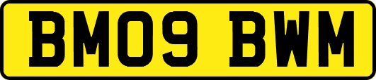 BM09BWM