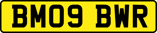 BM09BWR