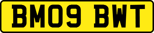 BM09BWT
