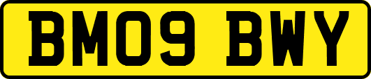 BM09BWY