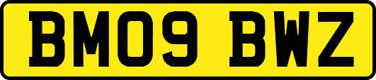 BM09BWZ