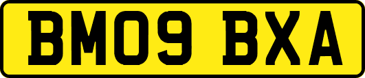 BM09BXA